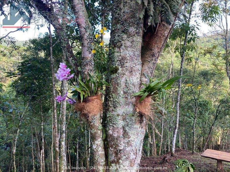 Terreno a Venda no Maromba em Itatiaia