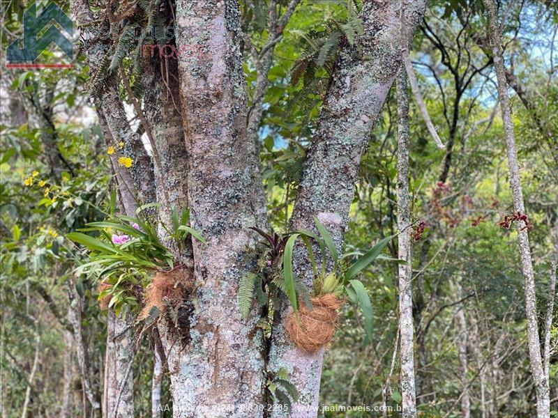 Terreno a Venda no Maromba em Itatiaia