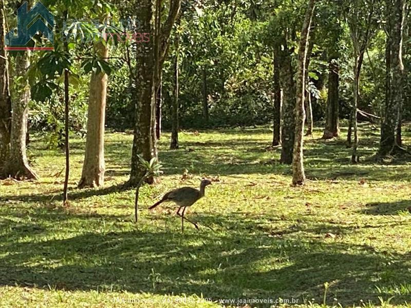 Terreno a Venda no Maromba em Itatiaia